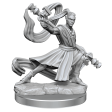 D&D Frameworks Elf Monk Male Cheap