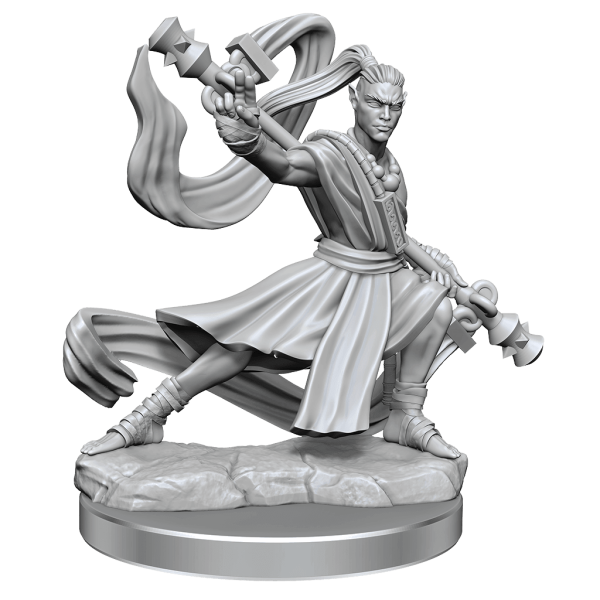 D&D Frameworks Elf Monk Male Cheap