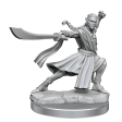 D&D Frameworks Elf Monk Male Cheap