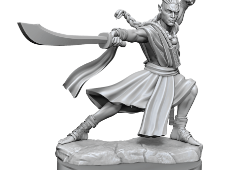 D&D Frameworks Elf Monk Male Cheap