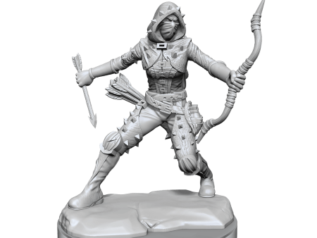 D&D Frameworks Human Rogue Female For Sale