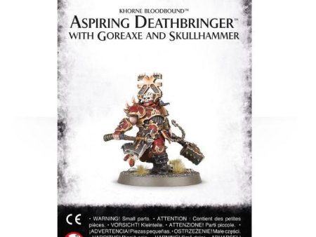 Aspiring Deathbringer with Goreaxe and Skullhammer Fashion