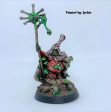 Maggotkin of Nurgle: Rotbringers Sorcerer Supply